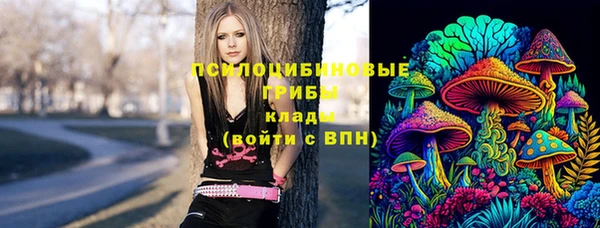 PSILOCYBIN Вязьма